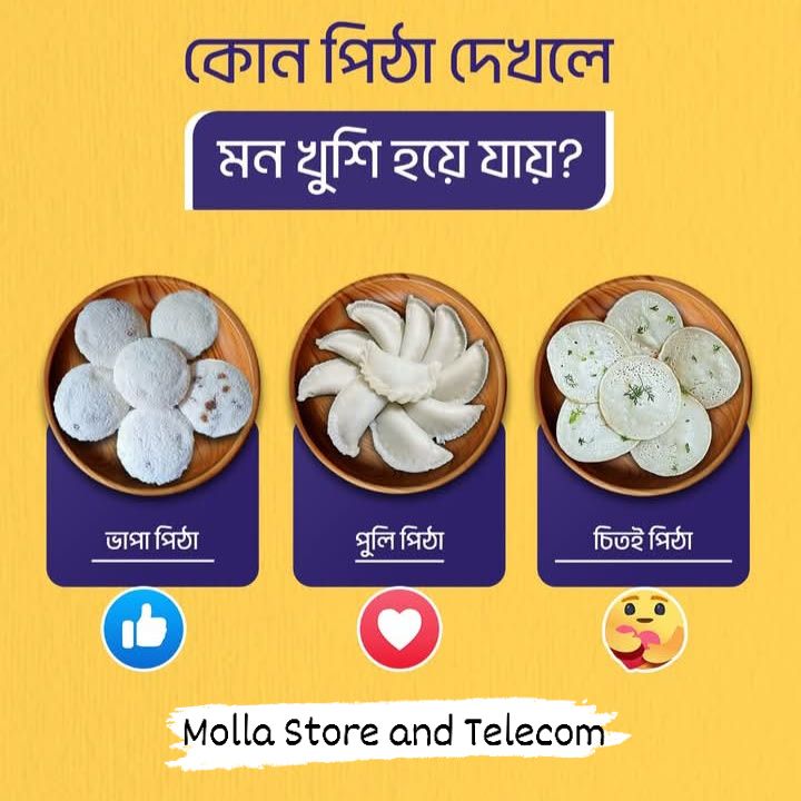 Molla Store & Telecom