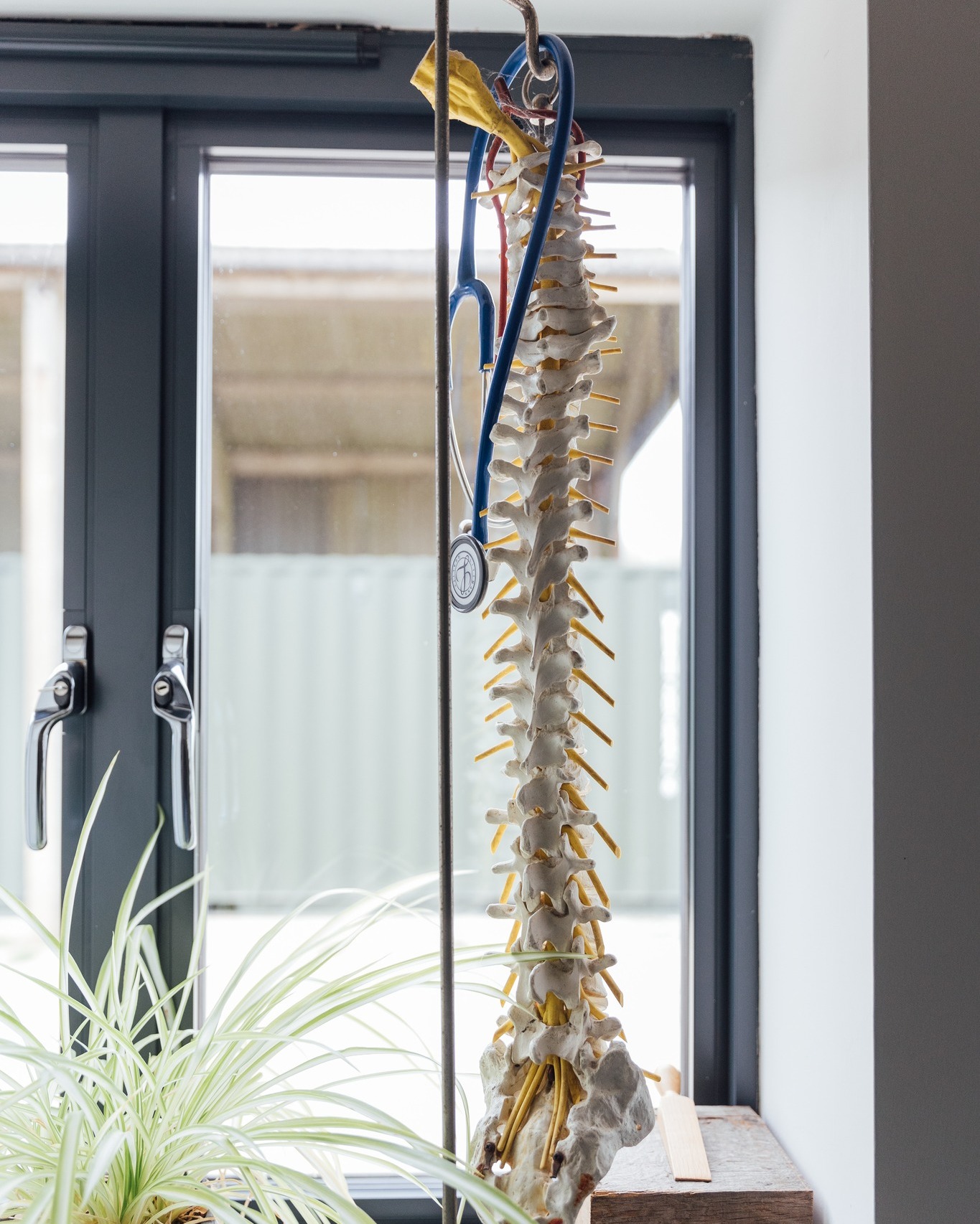 The Maas - It’s Spine Health Awareness Month!🦴 Your spine isn’t just a ...