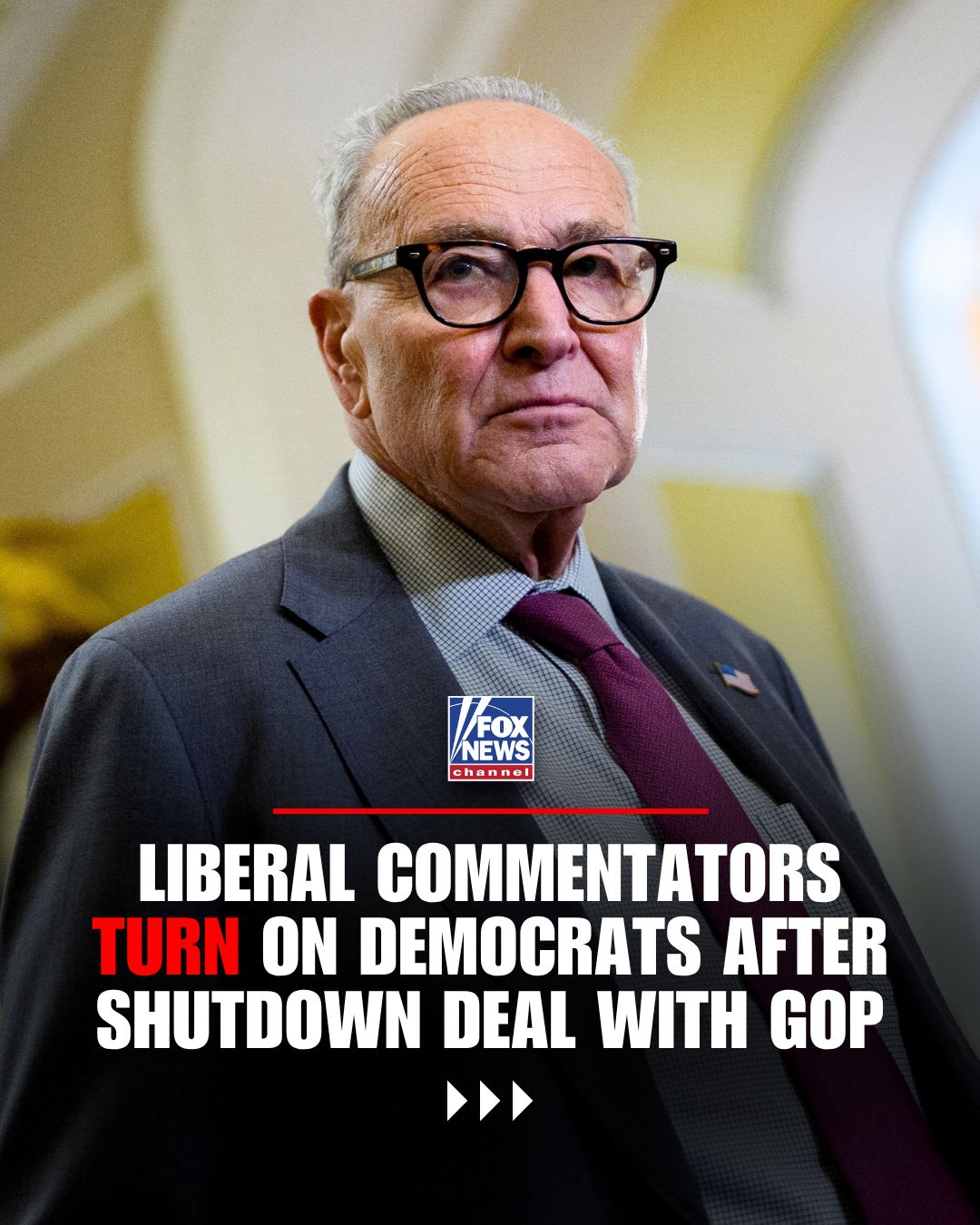 Fox News - PARTY PANIC: Democrats caved to their... | Facebook