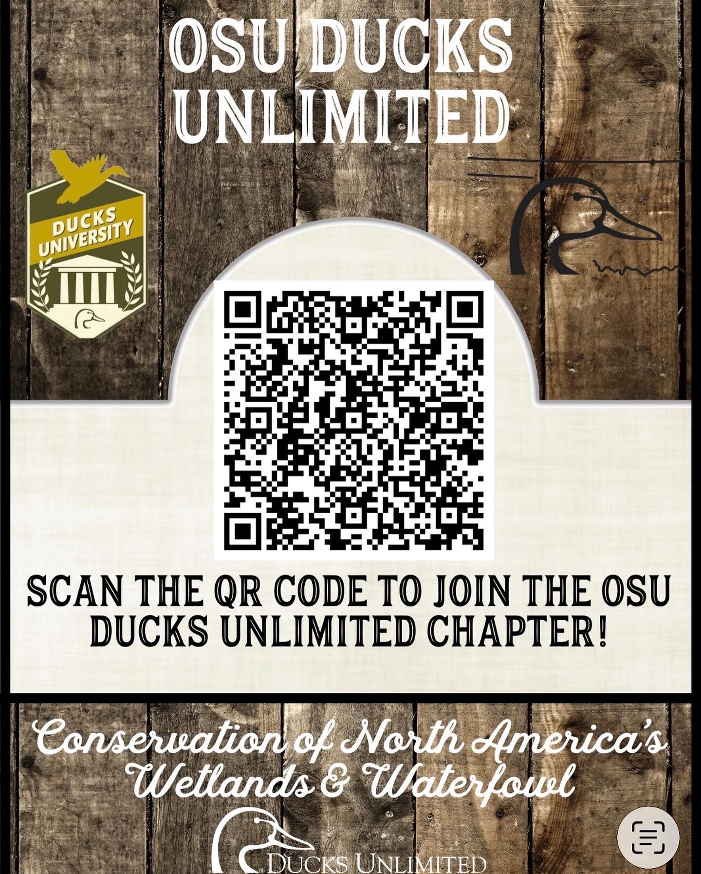 🚨🦆New followers!... - Oklahoma State Ducks Unlimited Chapter | Facebook