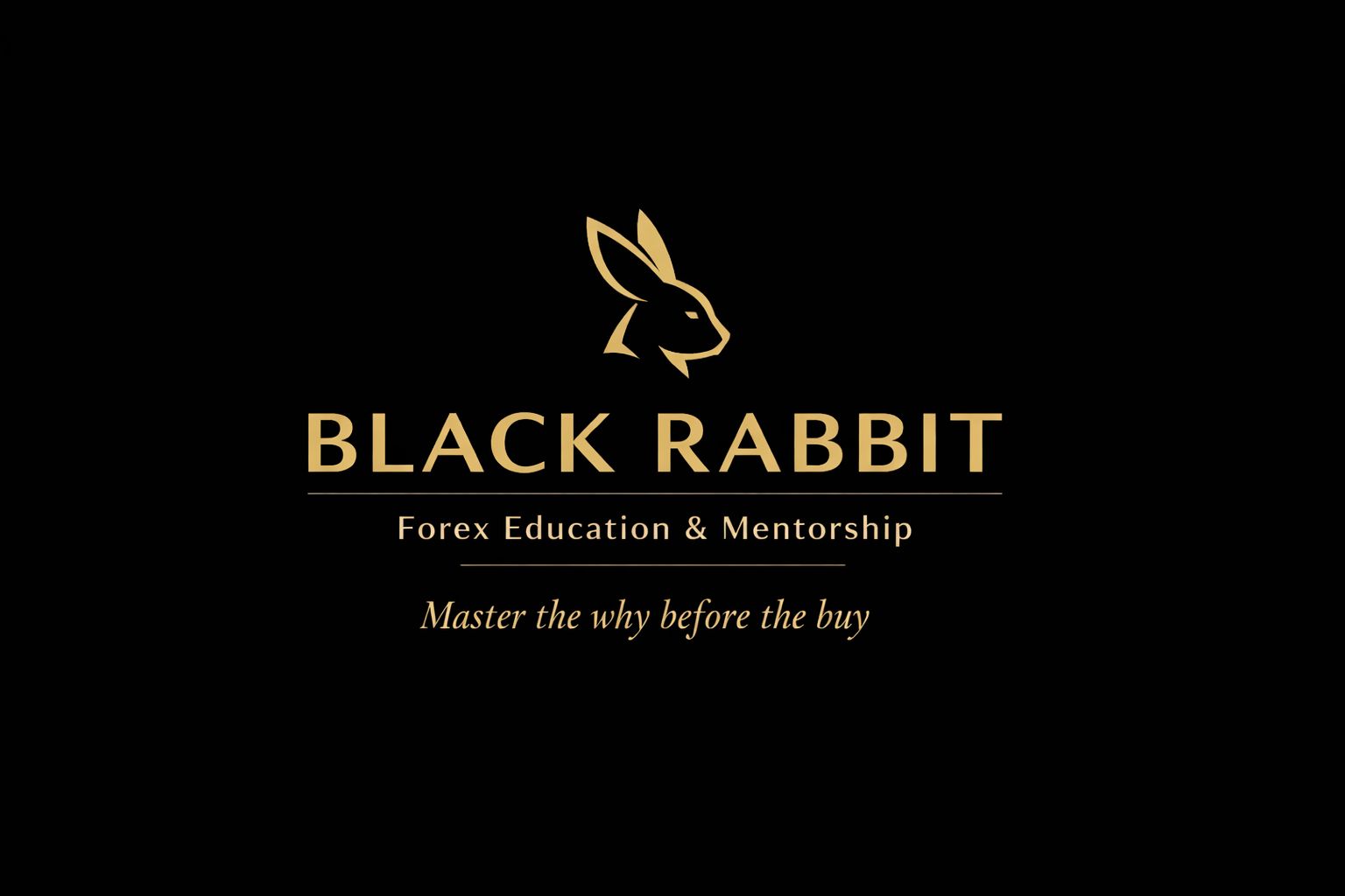 Black Rabbit FX | Lusaka