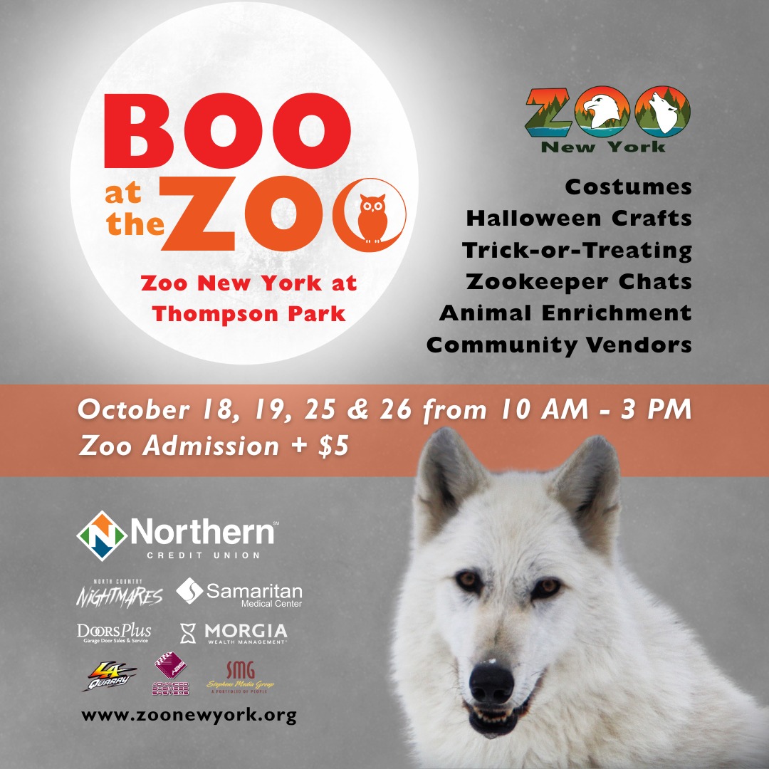7 News - 🎃 GET READY FOR BOO AT THE ZOO - PART 2! 👻 Join us this ...