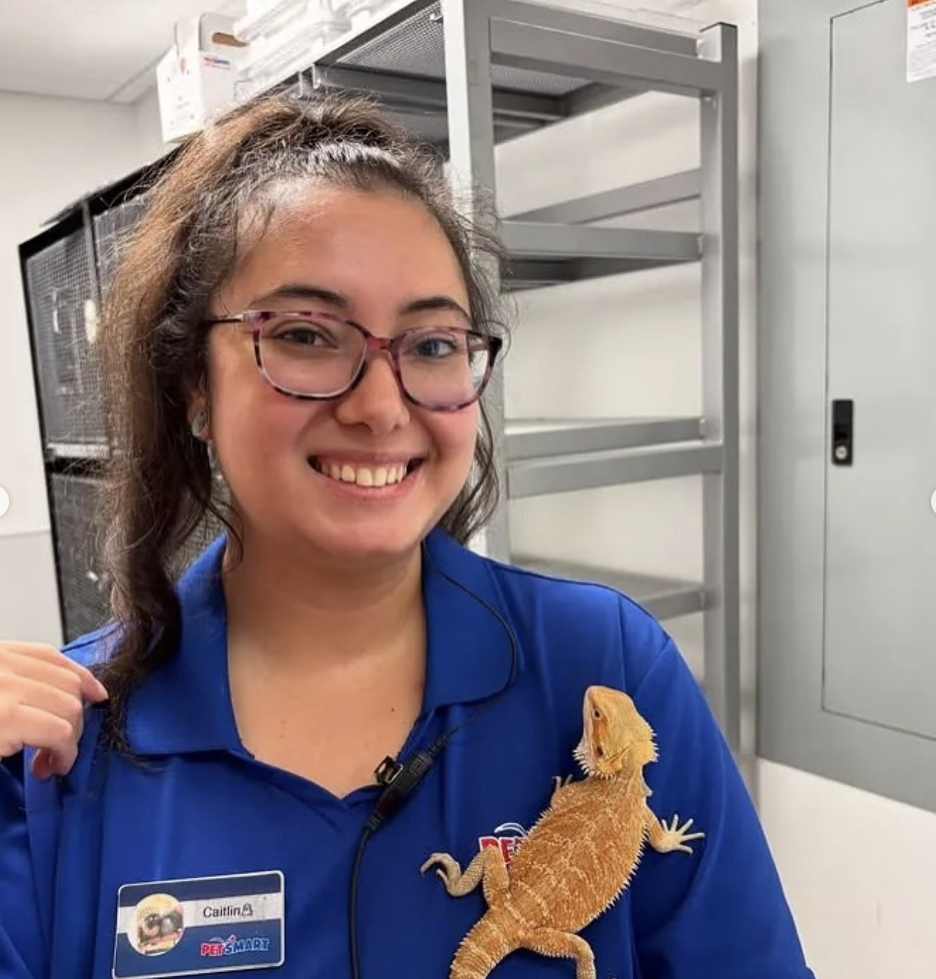 Life at PetSmart | Phoenix AZ