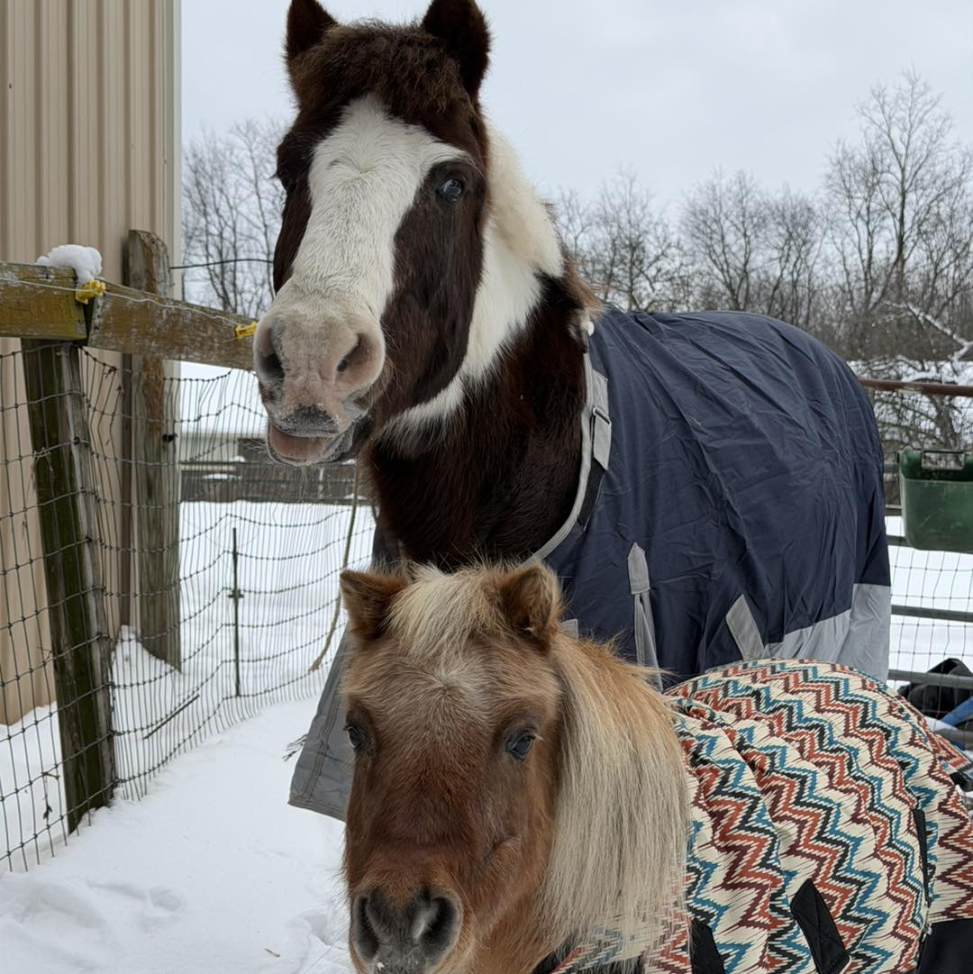 Starlight Pines Equestrian Center | Battle Creek MI