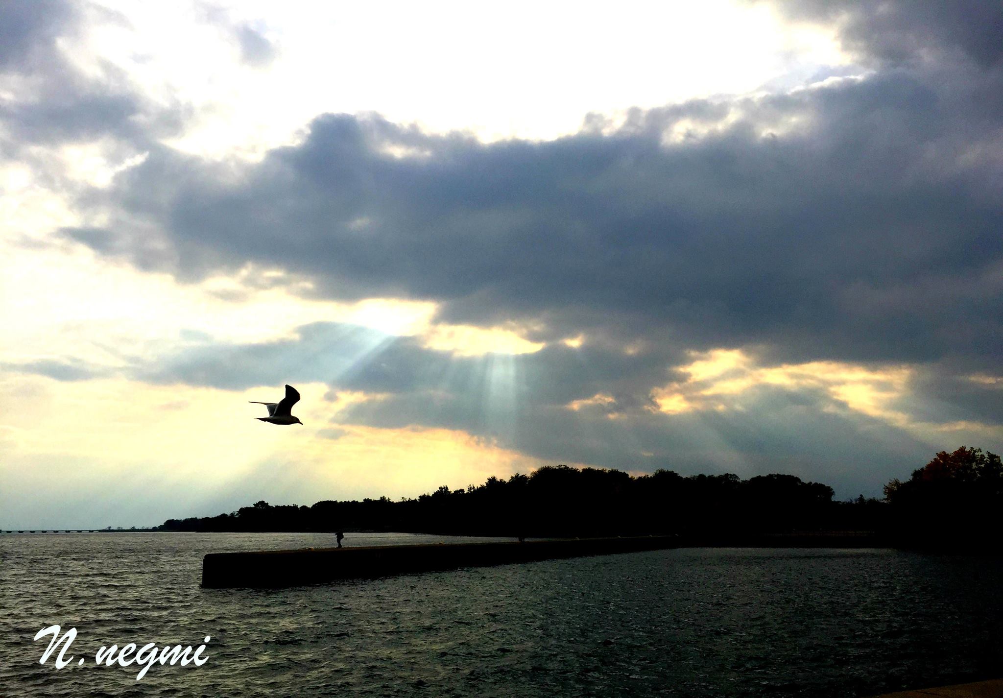 Noha Negmi's photography