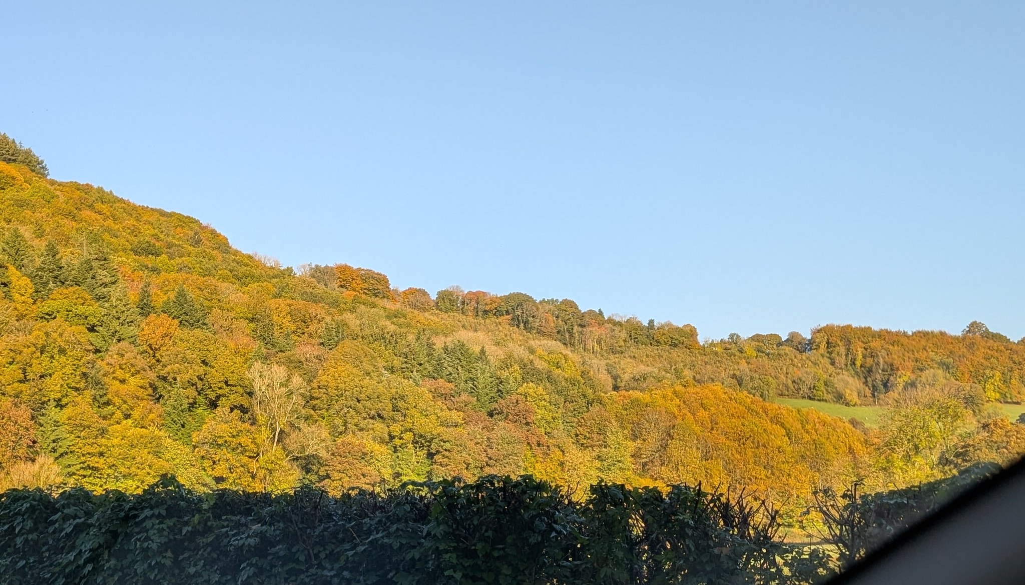 Forest of Dean Local History Society