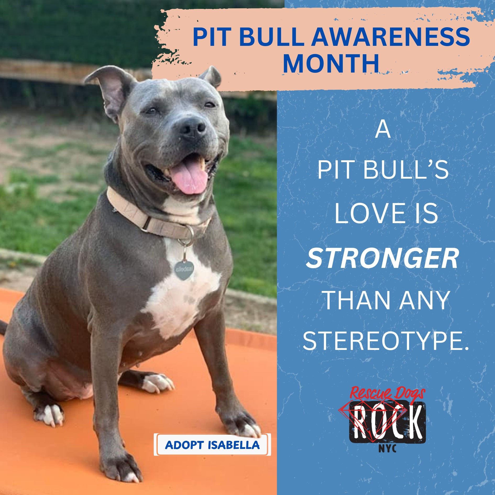 At Rescue Dogs Rock NYC, we know a... - Rescue Dogs Rock NYC | Facebook