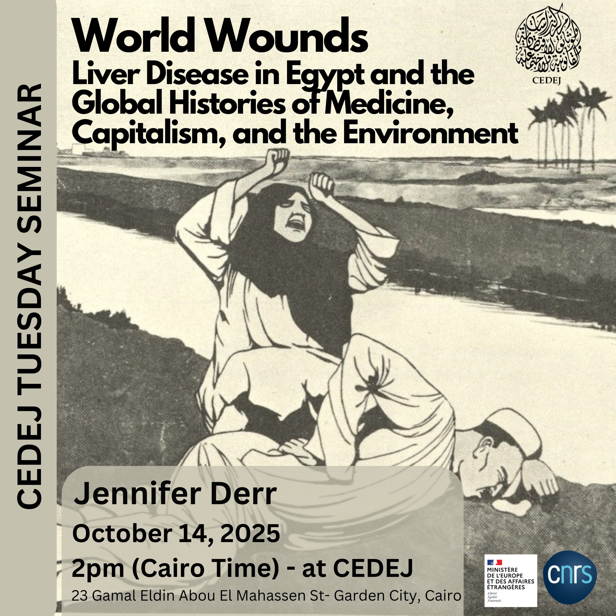 CEDEJ - 🌍 Tuesday Seminar Announcement 