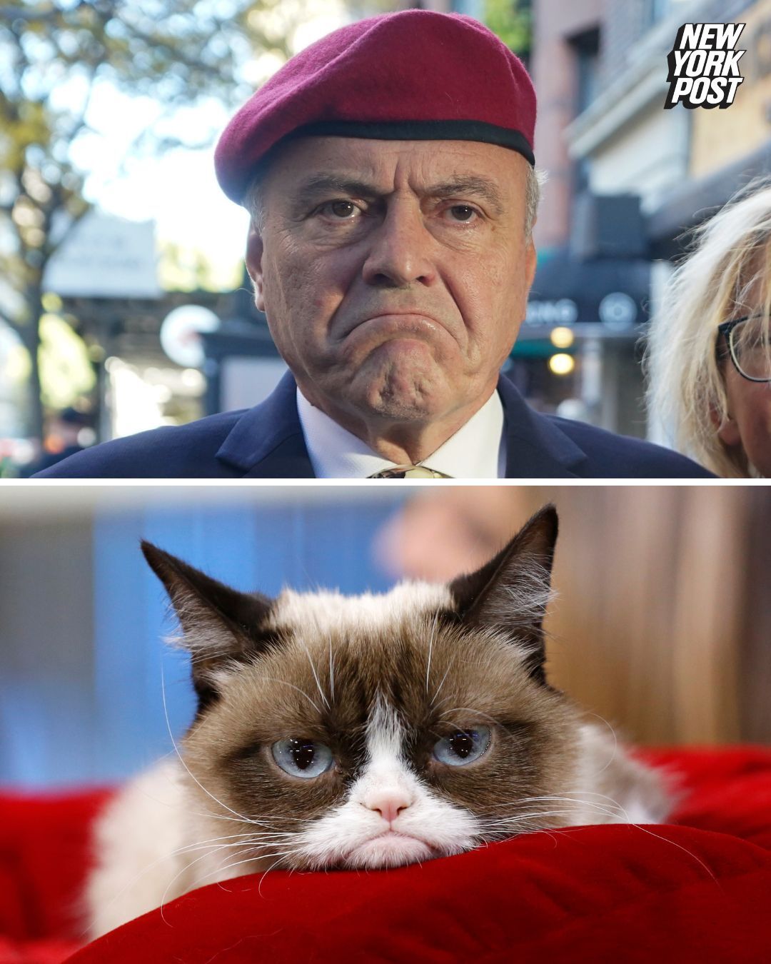 New - Infamous friend of felines Curtis Sliwa showed up to his Upper ...