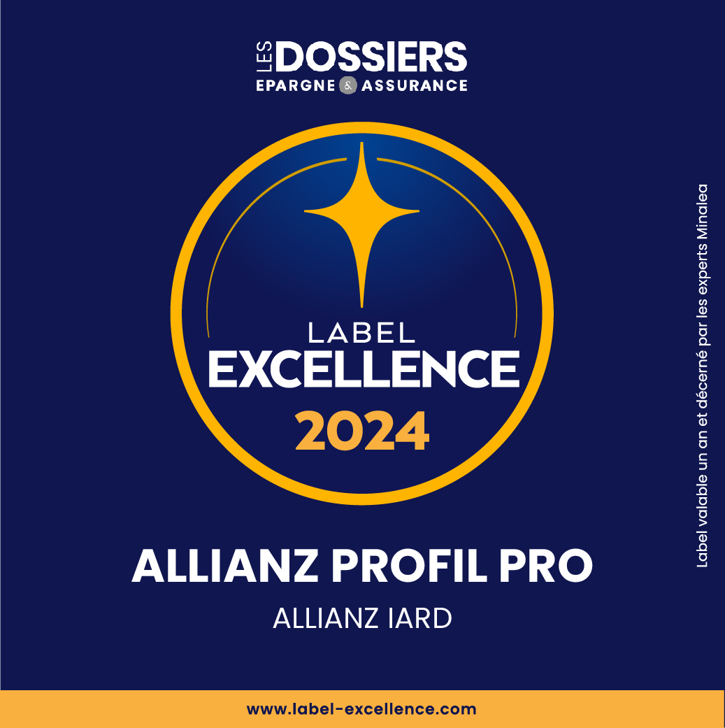 Allianz Noisy le Grand Fabien Limousin | Noisy-le-Grand