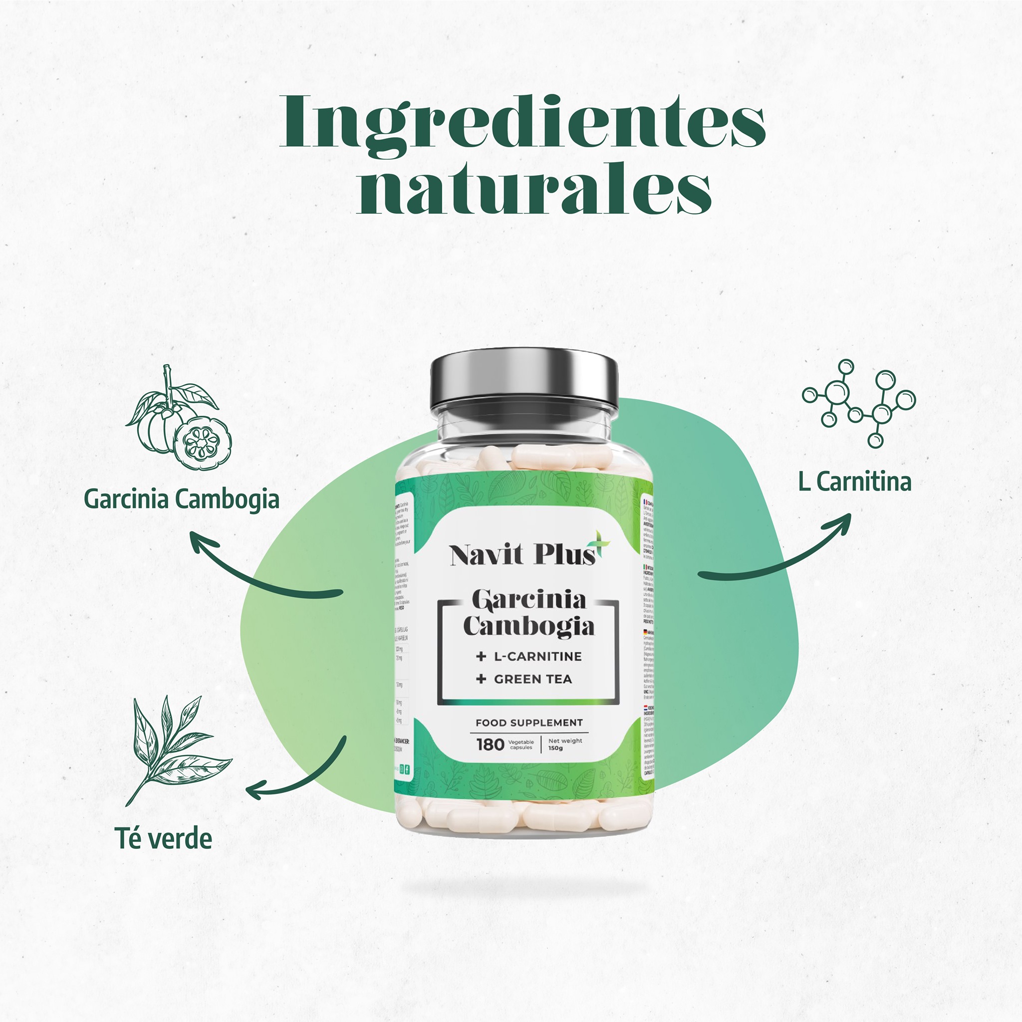 Navit Plus
