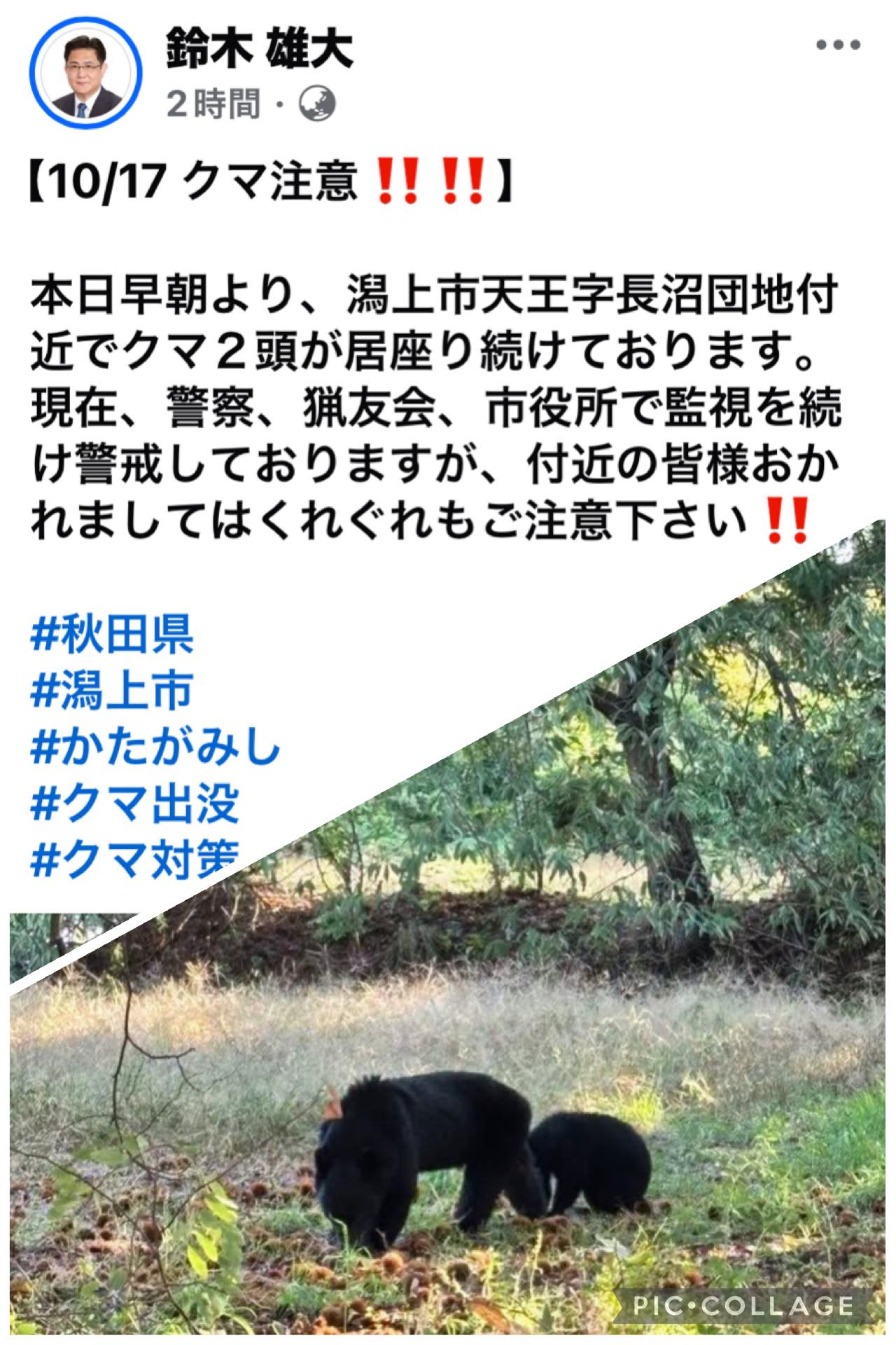 潟 上市 熊