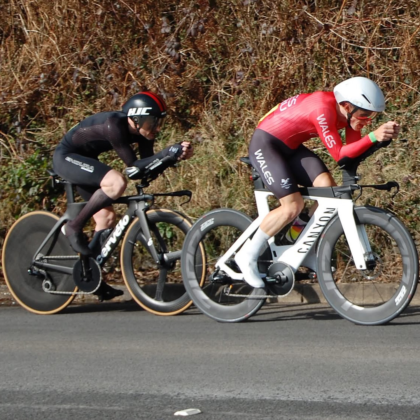 Holt Cycle Coaching