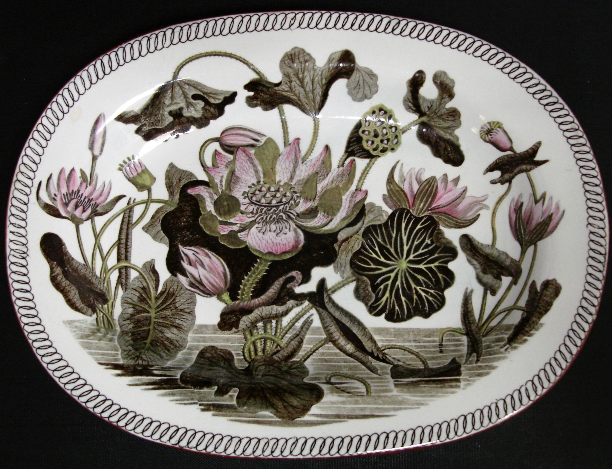 Transferware - Shown is Josiah Wedgwood's (1759-2005) Water Lily ...