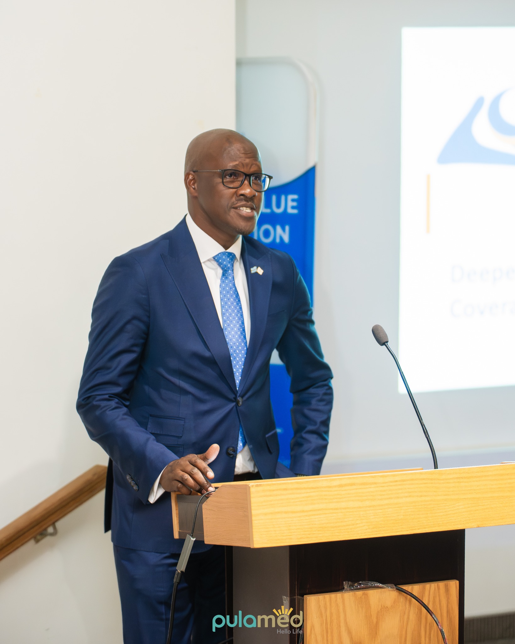 Pulamed - Pulamed CEO, Dr. Khumoetsile Mapitse presenting the Private ...