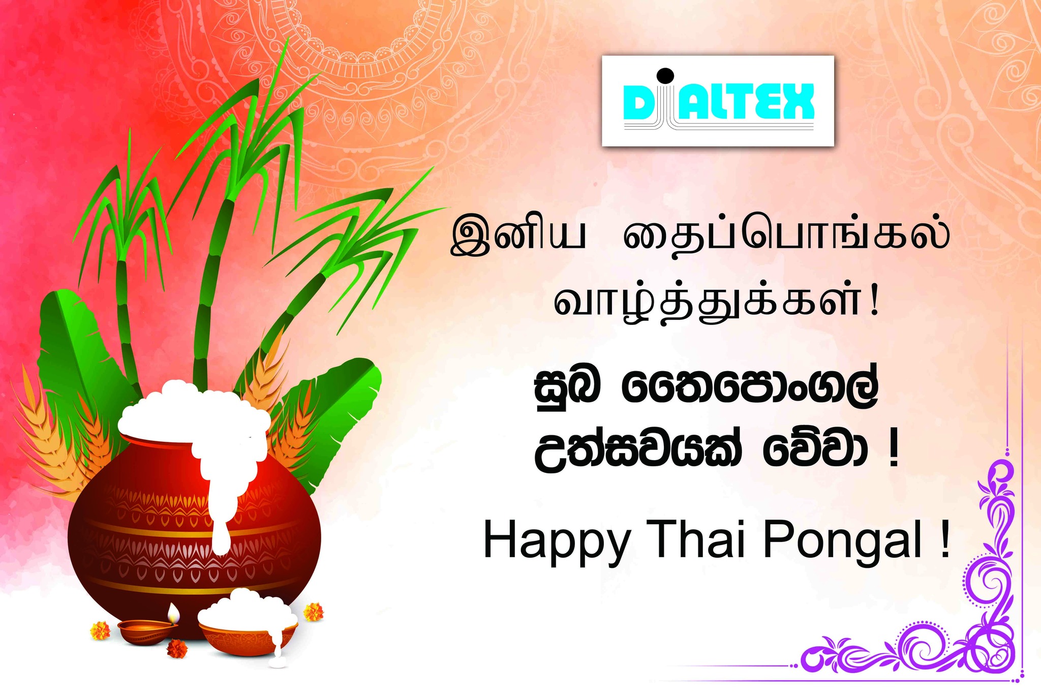 DialTex - Happy Thai Pongal Day🙏🙏 Be safe and enjoy with...