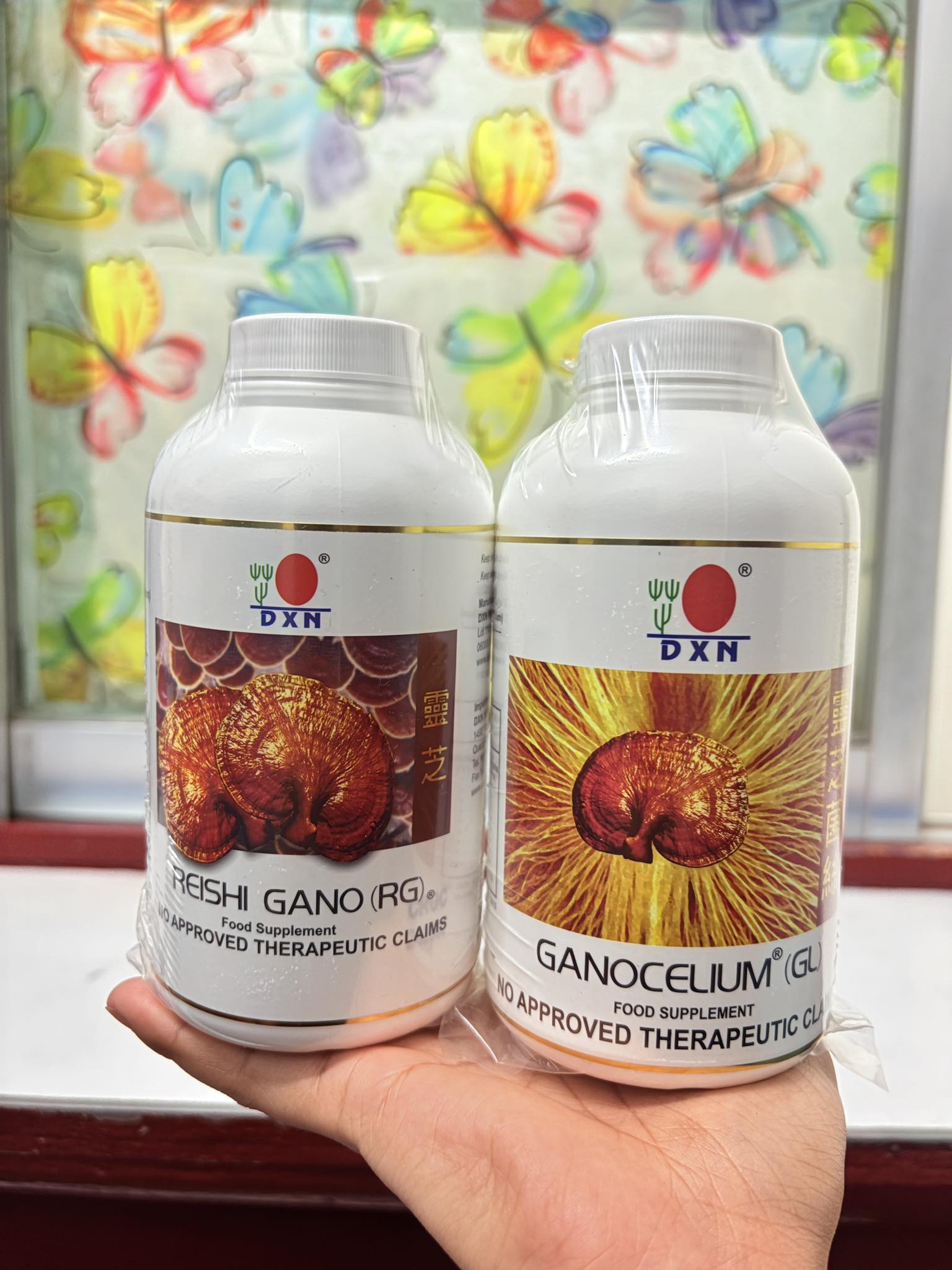 Complément Alimentaire DXN Reishi Ganoderma (RG) & Ganocelium (GL) - Capsules - Expiration Longue