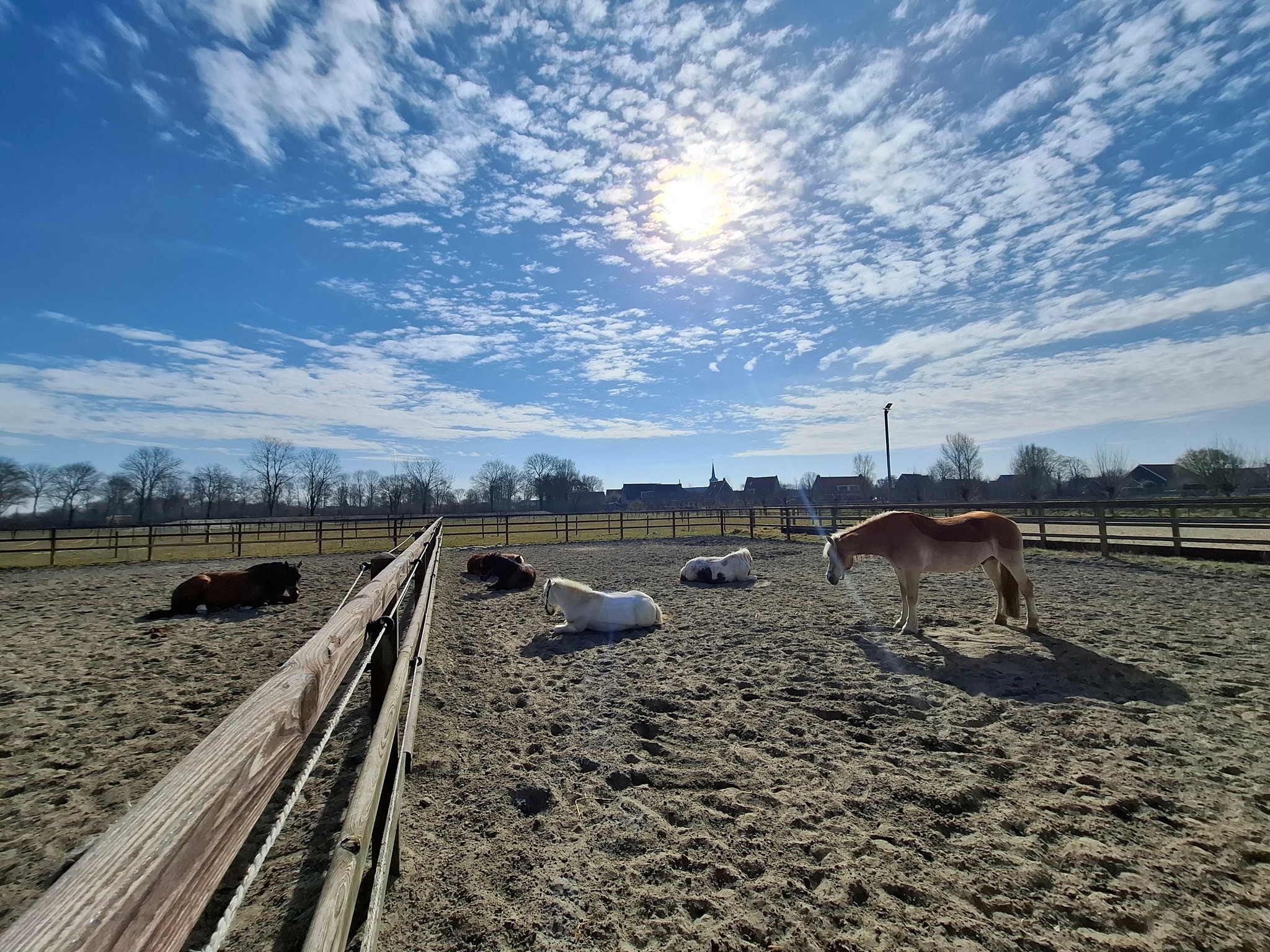 manege-balans-dreischor