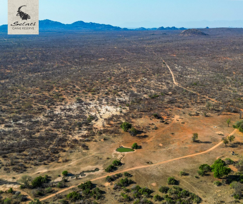 Selati Game Reserve | Gravelotte
