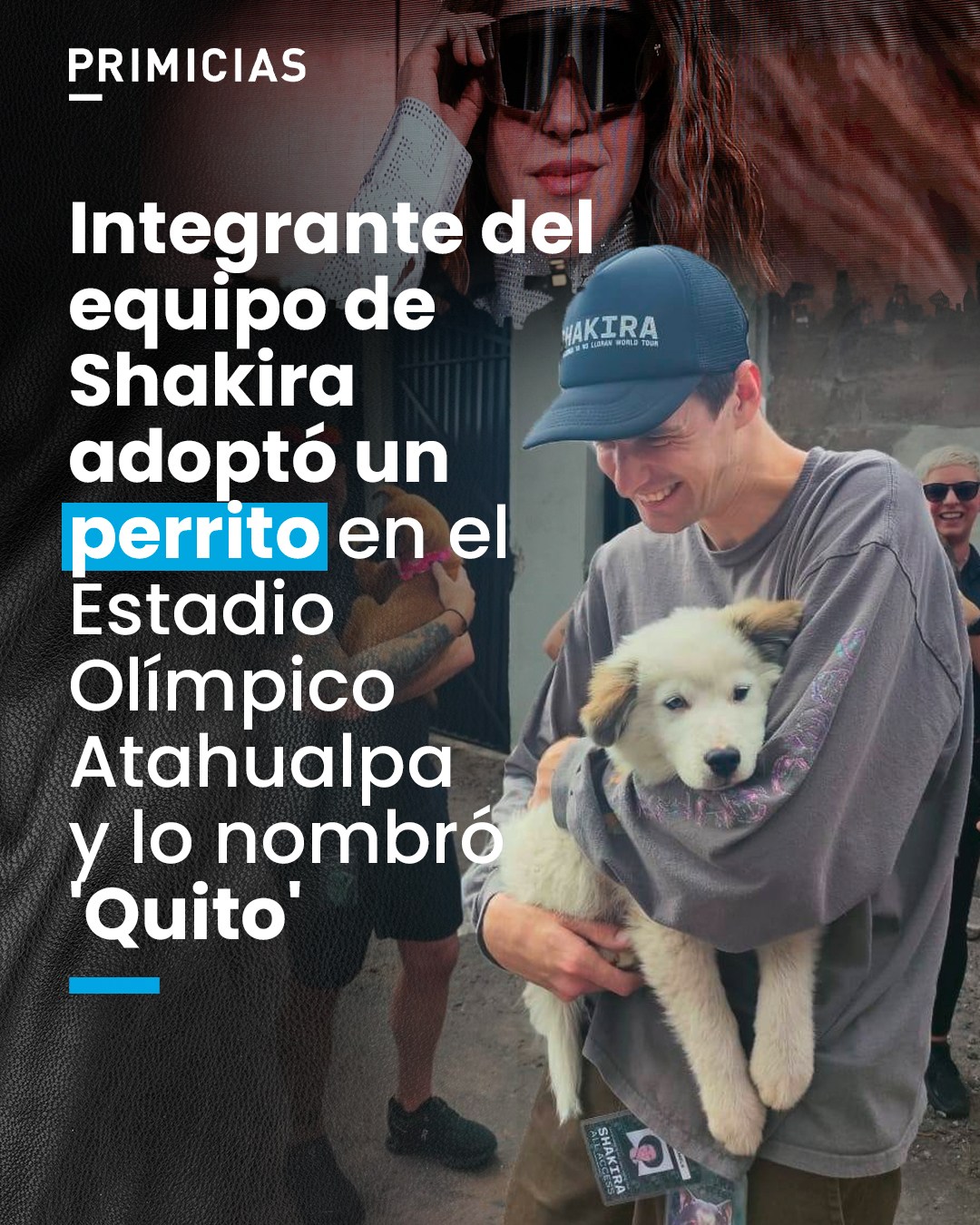 Primicias - Un cachorro fue adoptado en Quito por un... | Facebook