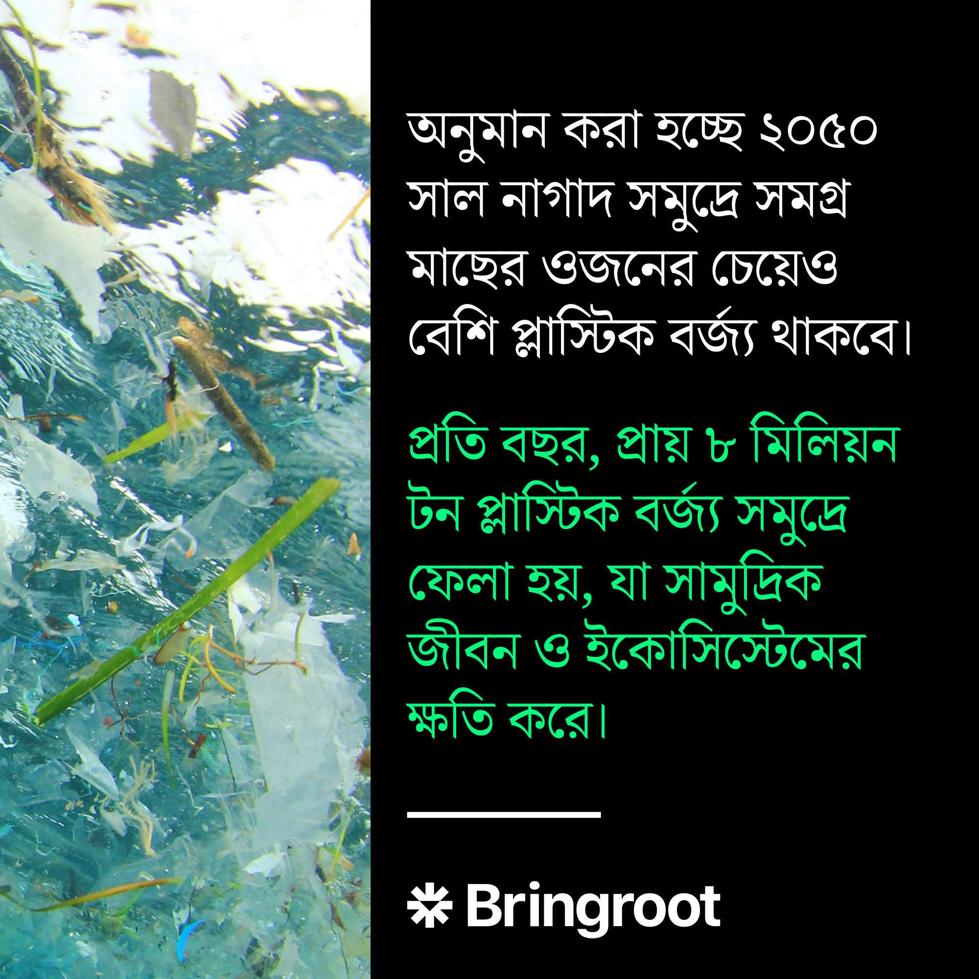 Bringroot