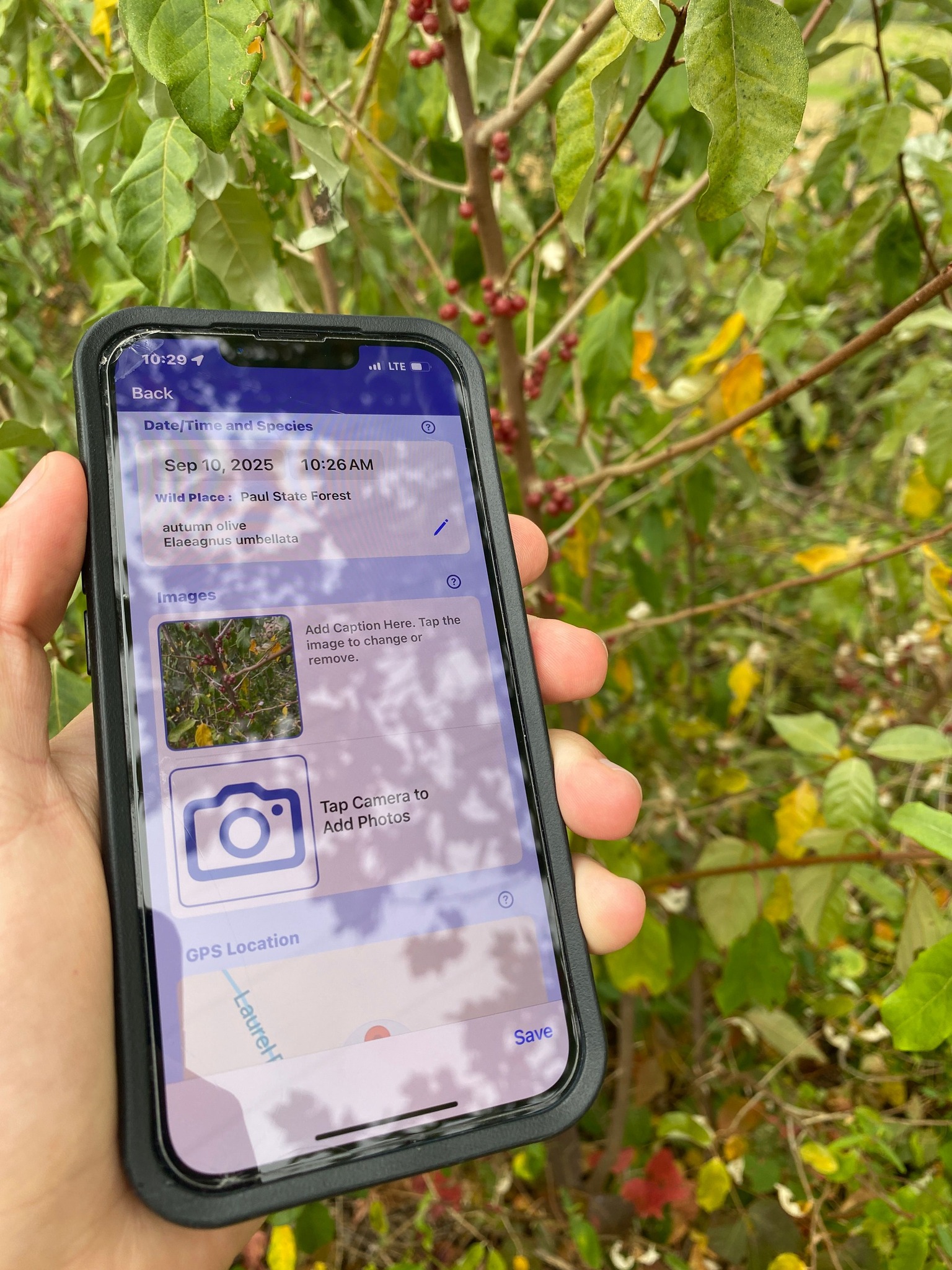 Virginia - Have you noticed any invasive plants while visiting a state ...