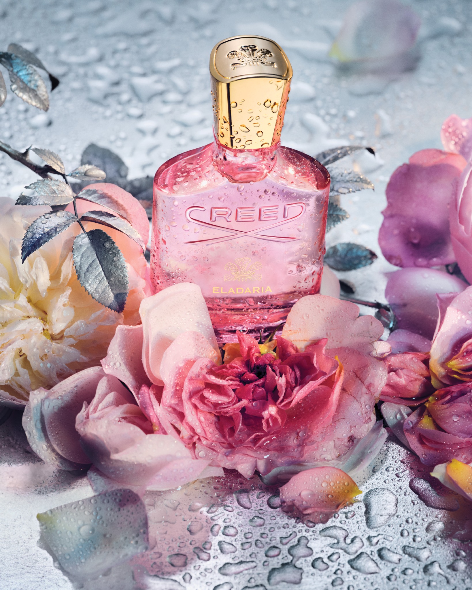 A new modern rose fragrance from The House of Creed has freshly 