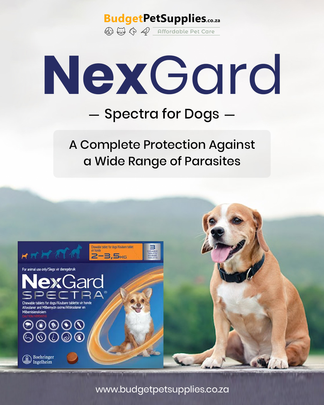 Budgetpetsupplies - 🐶 Keep your dog happy, healthy, and parasite-free ...