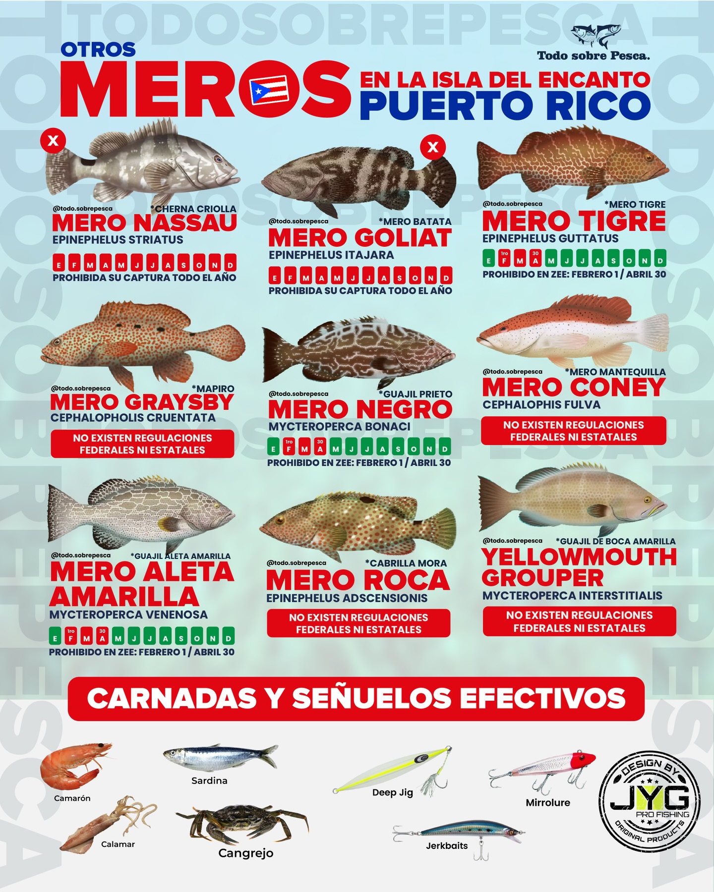 Todo - 🎣 MEROS (GROUPERS) DE PUERTO RICO Los fondos rocosos y arrecifes ...