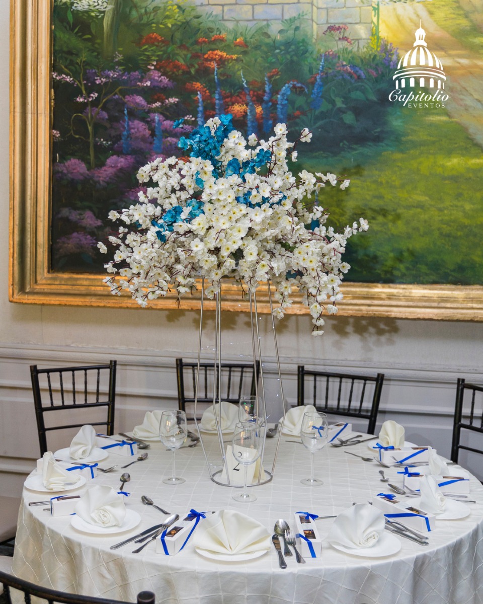 Capitolio - Haz de tus XV años un evento espectacular con un salón que ...