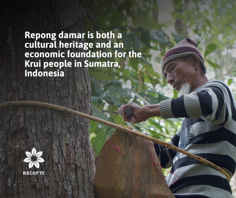 RECOFTC - Meet H. Rosyid, a 73-year-old farmer who still climbs tall ...
