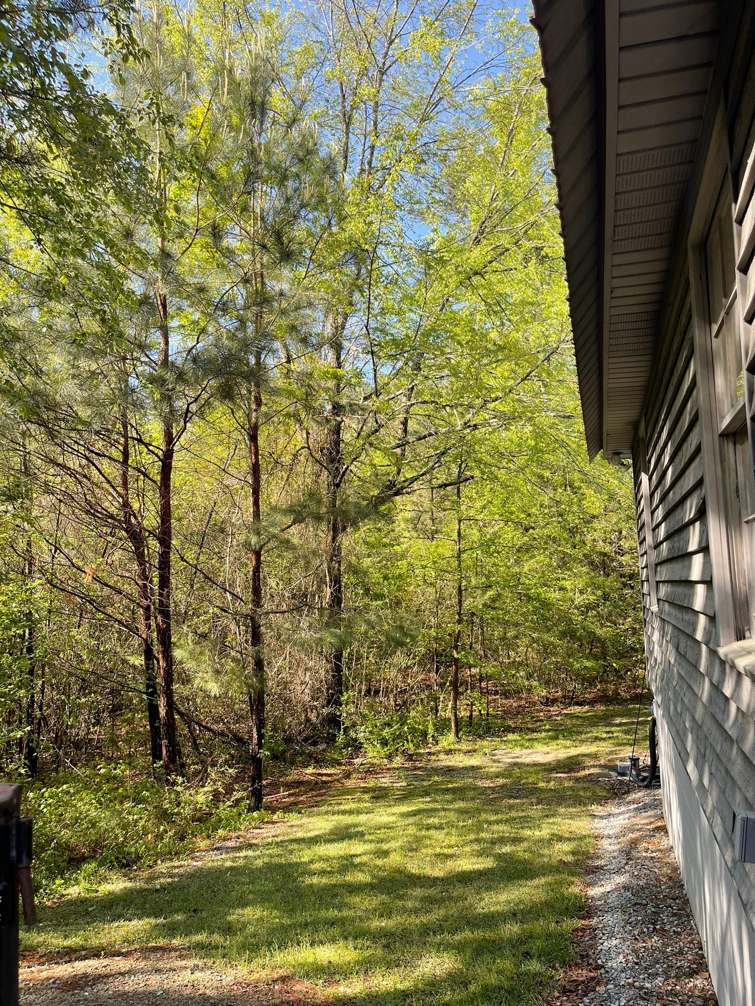 Patterson Tree & Lawn Service | Lowndesville SC