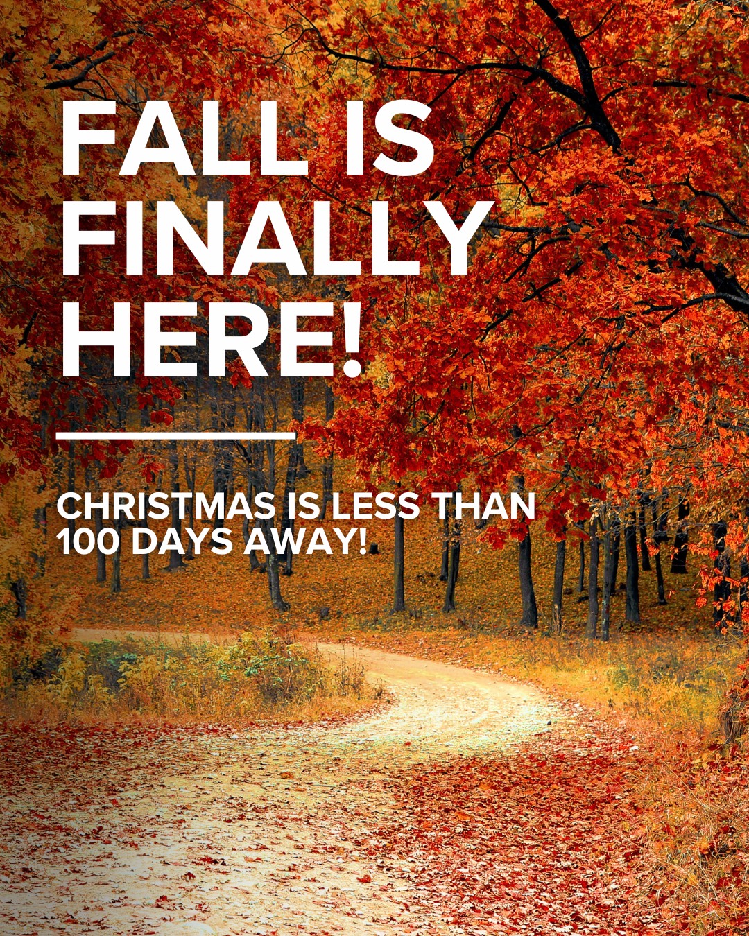 KING 5 - FALL IS HERE! 🍂 As the leaves begin to turn,... | Facebook