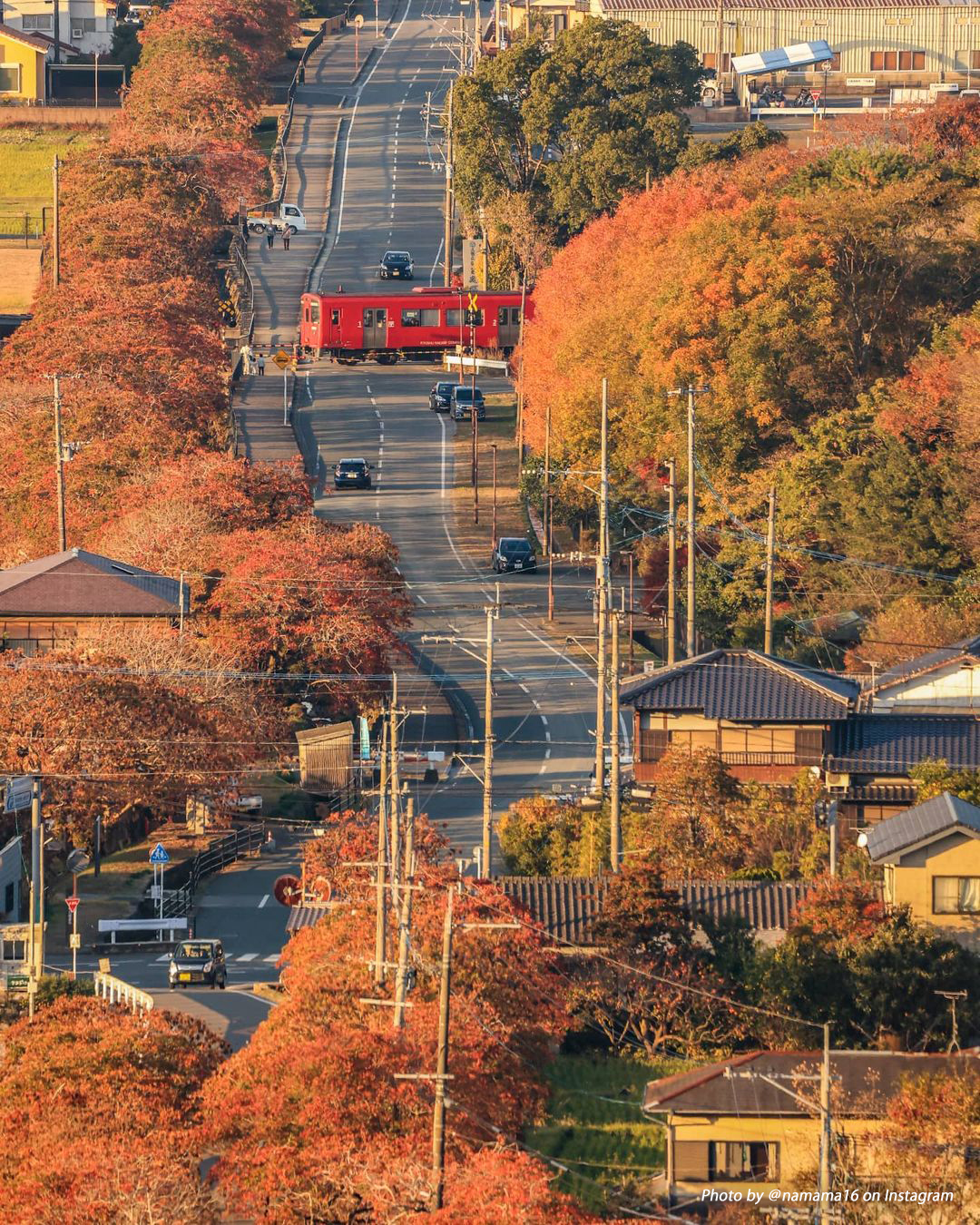 Yanagisaka Sone Wax Tree Lane - One of Japan's New Top 100 Scenic