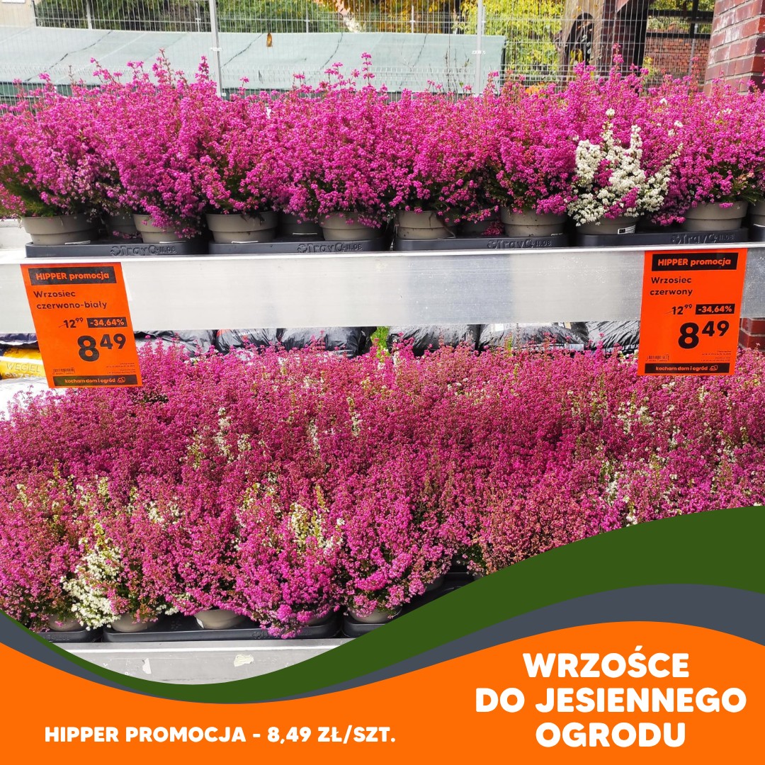 HIPPER.pl - HIPPER.pl added a new photo.