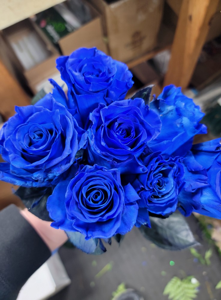Blue Rose 🌹 2020 Aspec Still in love with her!!!!