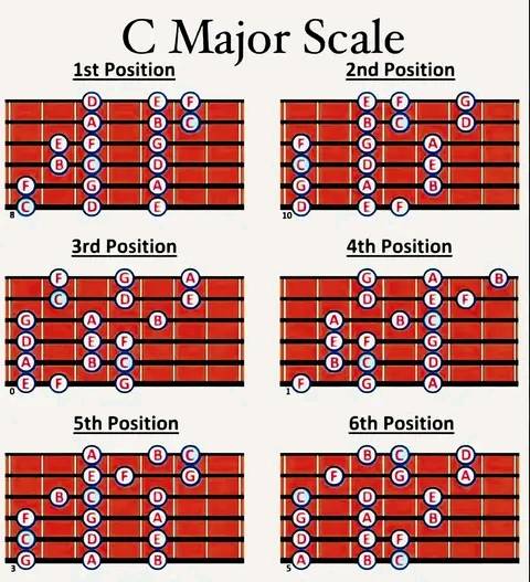 Professional - Guitar: C Major Scale #guitarist #guitarplayer # ...