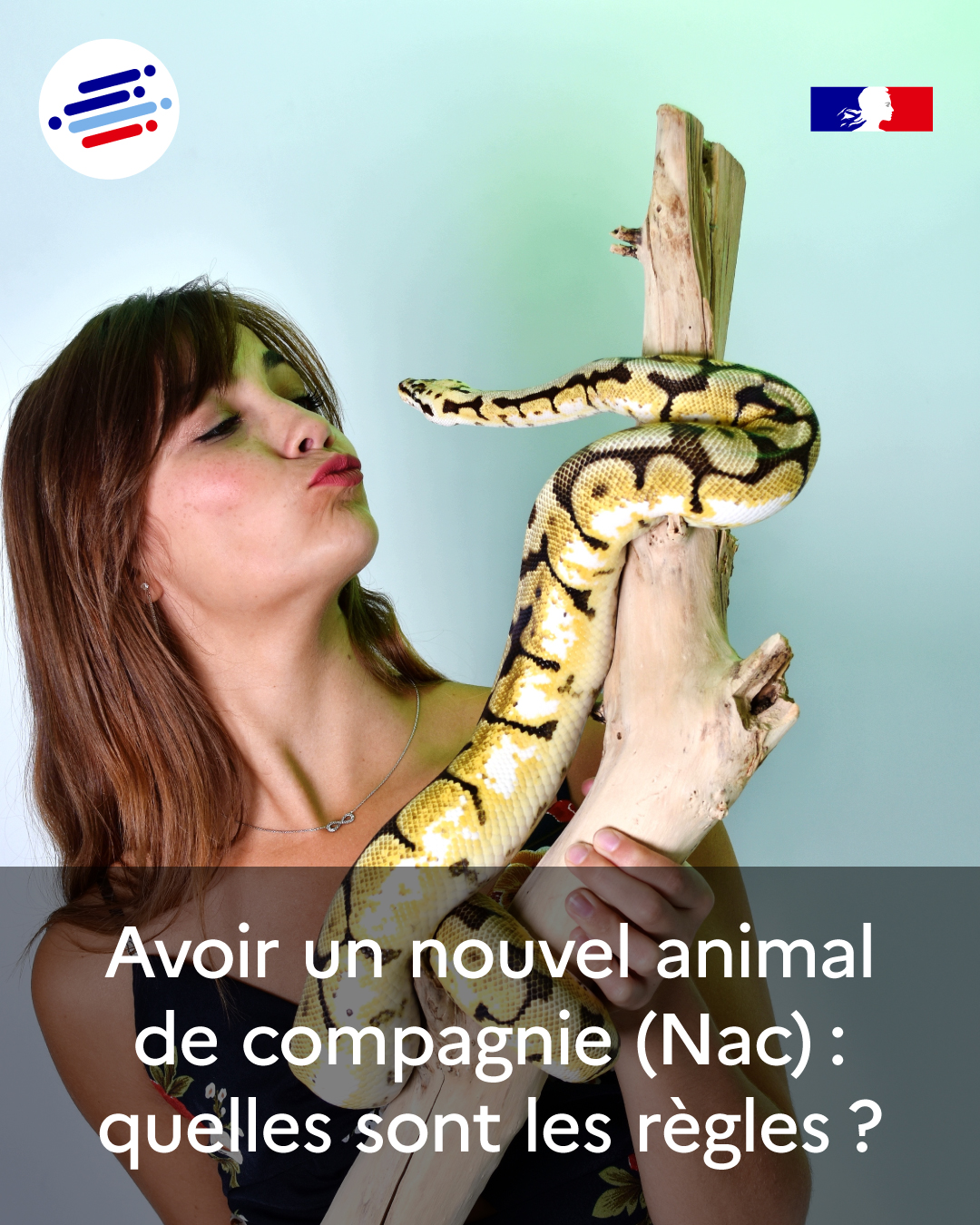 Service-Public.fr - Nouvel animal de compagnie : quelles sont les ...