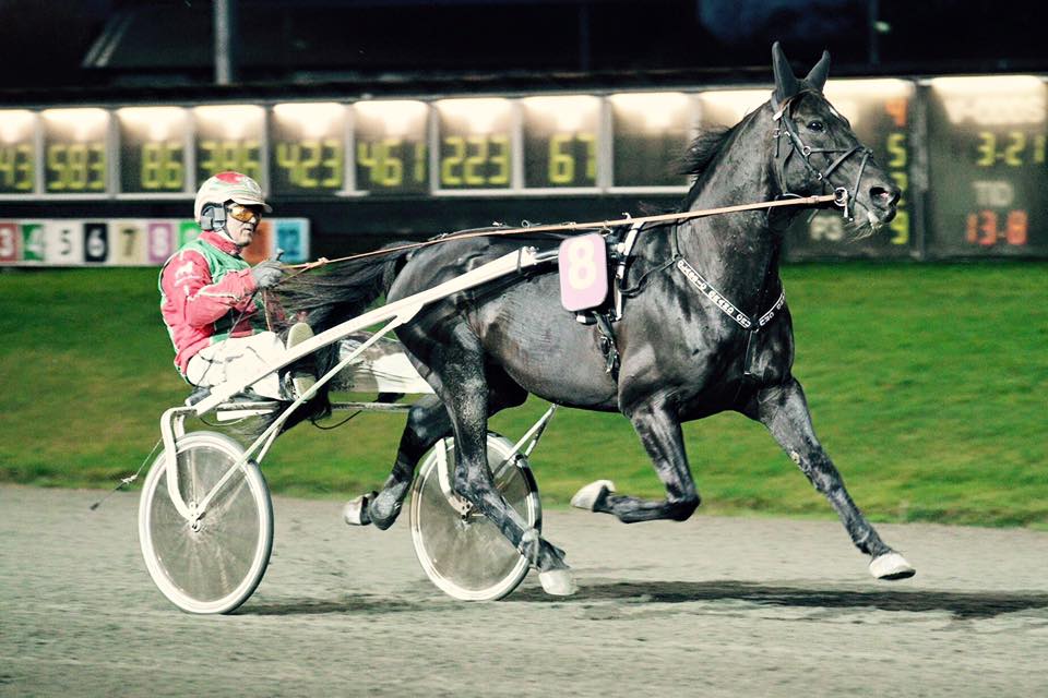 Finn Rasmussen