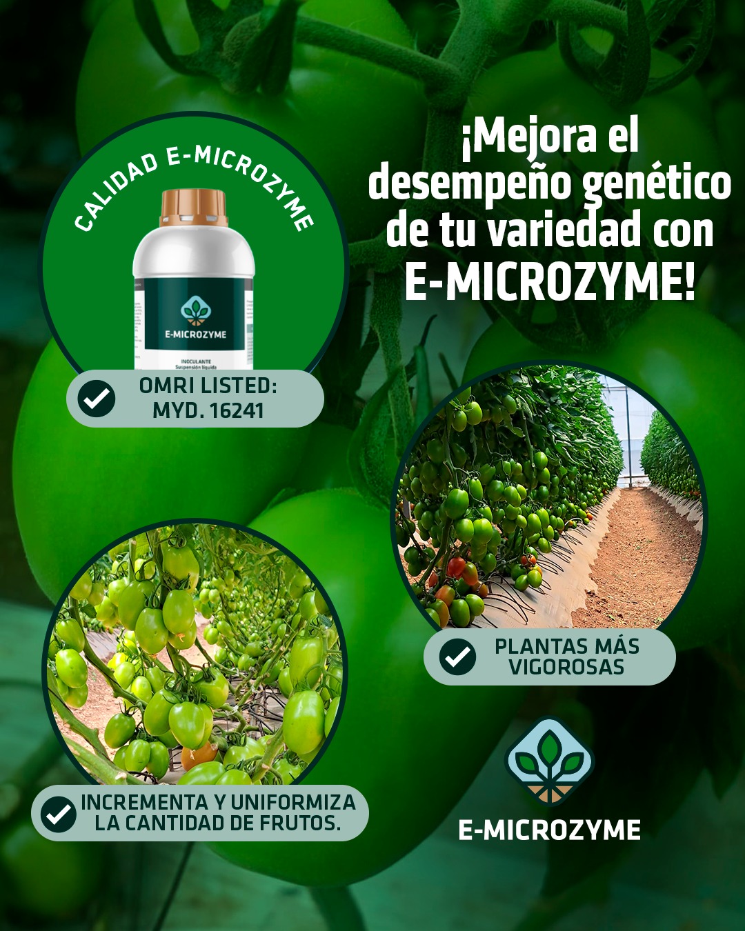 Mydagro - ¿Por qué utilizar E-Microzyme en tus cultivos? 🌱🌾🍅 E ...