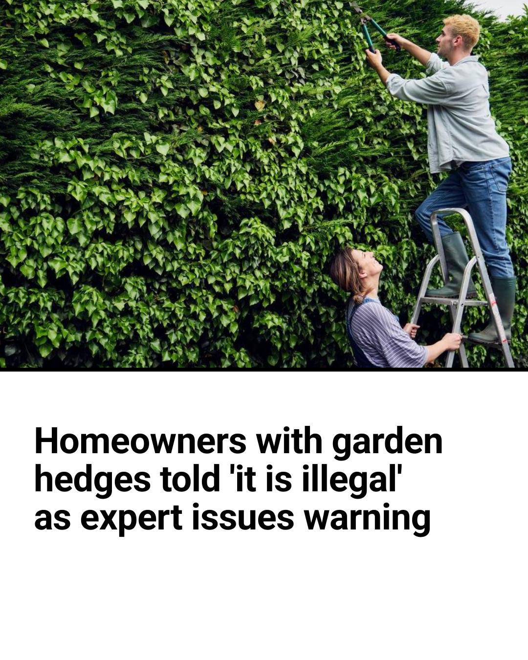 Bristol - A gardening expert has warned that certain garden tasks are ...
