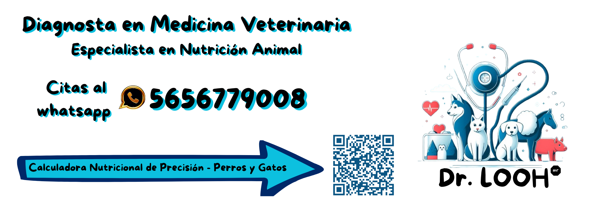 Dr. LOOH | Apizaco Centro