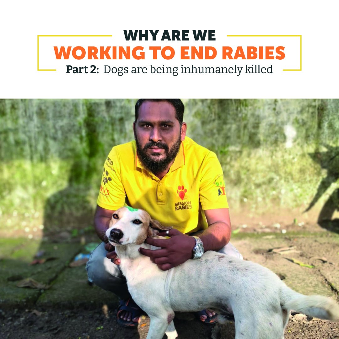Mission Rabies - Why are we working to end rabies? This... | Facebook