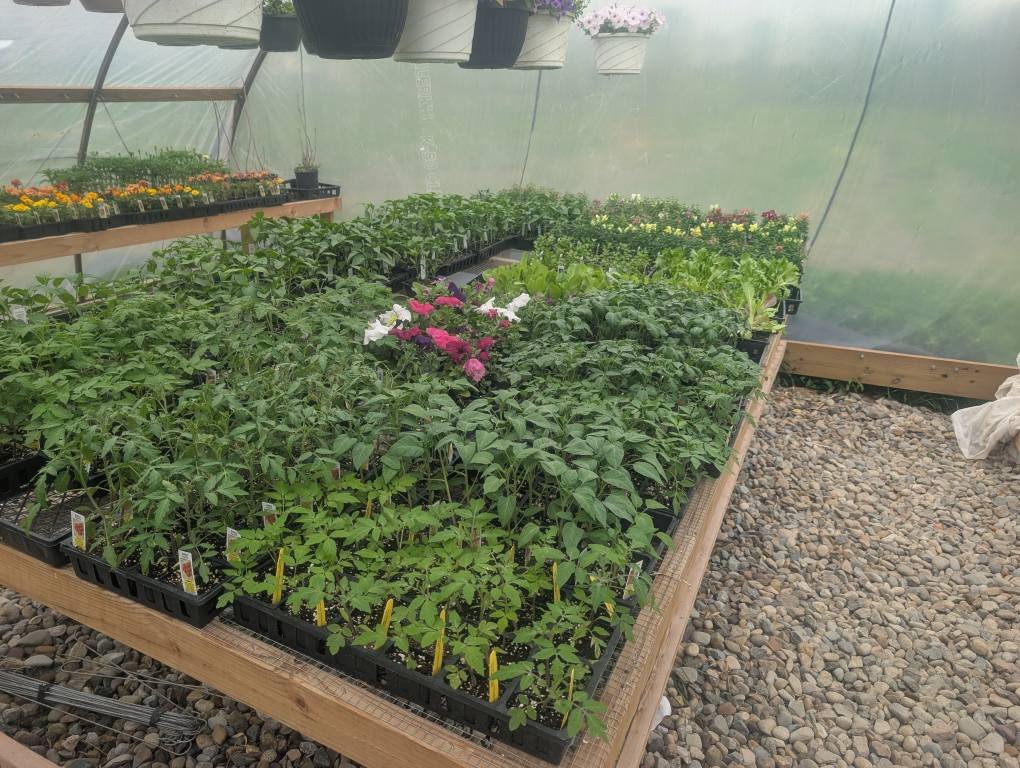 Justin's Farm... - Justin's Farm Fresh Produce and Plants