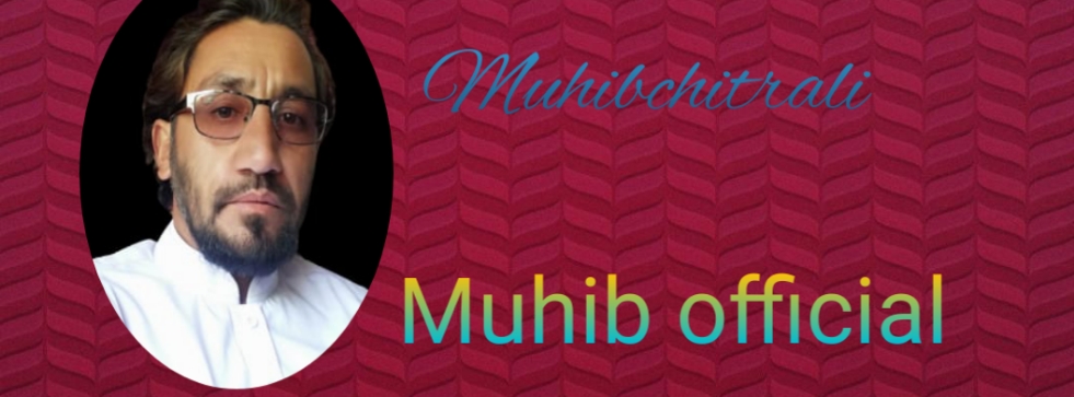 Muhib official