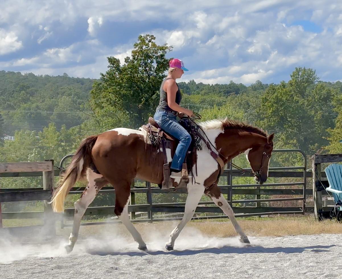 Triple R Horses - Triple R Horses added a new photo.