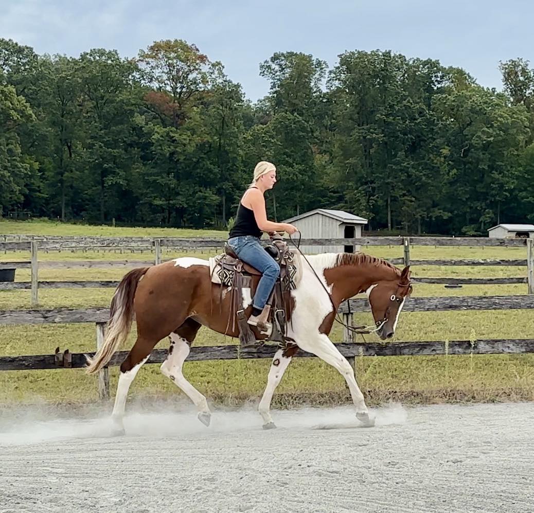 Triple R Horses - Triple R Horses added a new photo.