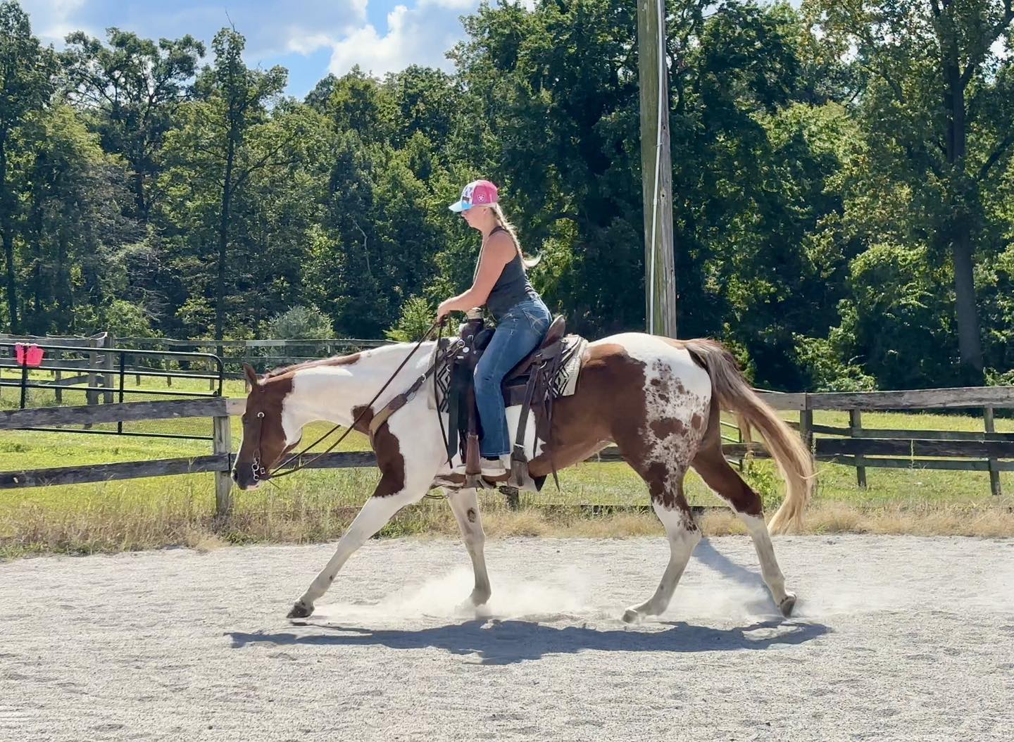 Triple R Horses - Triple R Horses added a new photo.