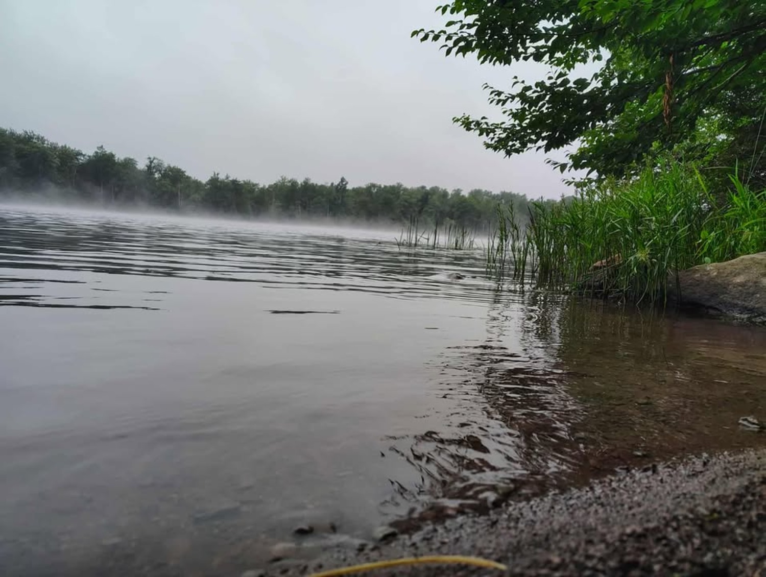 Explore Cook Forest | Cooksburg PA