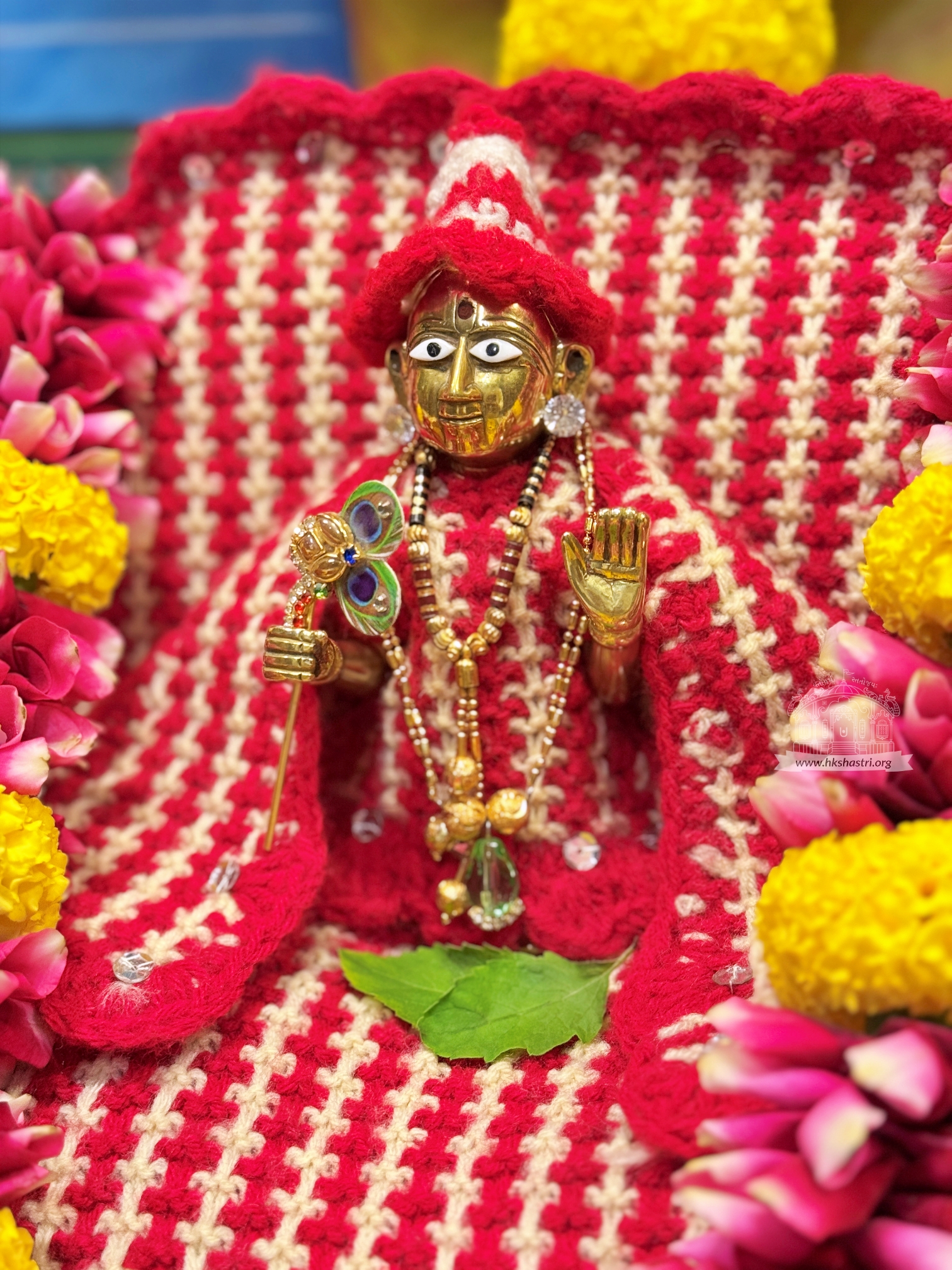 Shree Swaminarayan... - Shree Swaminarayan Temple Gandhinagar